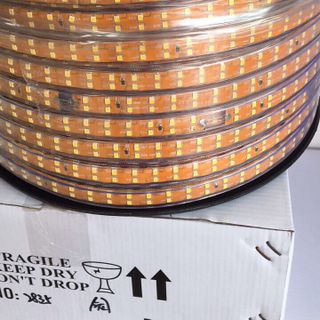 led cuộn 100 mét 2 hàng
