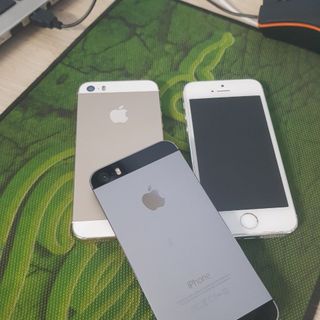 IPhone 5s - 32Gb giá sỉ