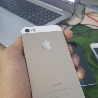 IPhone 5s - 32Gb Gold giá sỉ