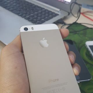 iphone 5s - 16Gb Gold giá sỉ