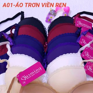 Đồ lót Việt Nam - Áo lót nữ Charming-MSP A01