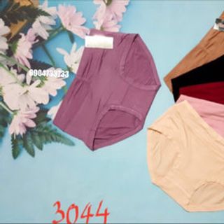 Quần lót cotton 3044
