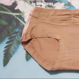 Quần lót cotton 3044