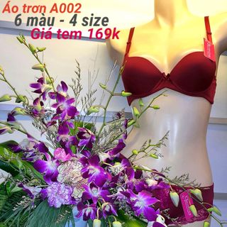 Đồ lót nữ Việt Nam - Áo lót nữ Charming-MSP A02