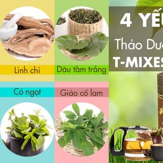 THẢO DƯỢC T-MIXES GOLD HỖ TRỢ ĐIỀU TRỊ BỆN TIỂU ĐƯỜNG