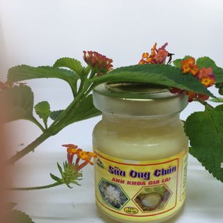 Sữa ong chúa Anh Khoa Gia Lai tươi nguyên chất