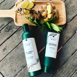 Cặp dầu gội xả Weilaiya chiết xuất gừng - trị gàu - trị rụng - kích mọc tóc