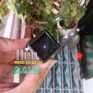 Đá đính răng 2 ly - Xuất xứ Úc