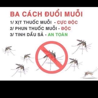 Tinh dầu xả chanh