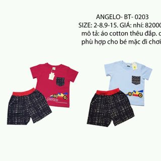 chuyên bỏ sĩ quần áo thời trang trẻ em baby Angelokidz và Beekidz