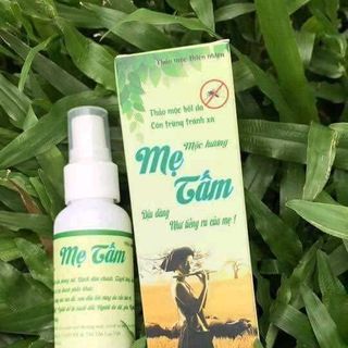 Chống muỗi mẹ Tấm