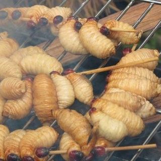 Đuông dừa bến tre