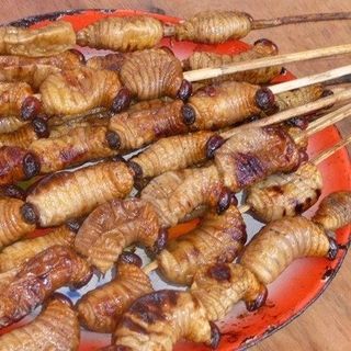Đuông dừa bến tre