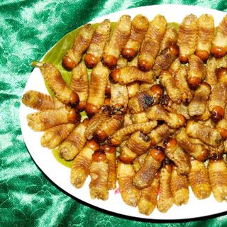 Đuông dừa bến tre