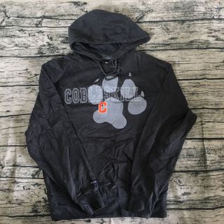 hoodie unisex mỹ 2