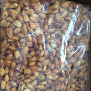 Hạt óc chó