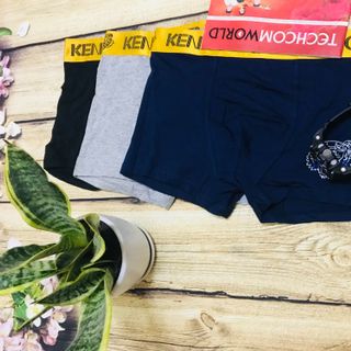 Quần boxer nam cotton kzo