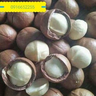 Hạt mắc ca-nữ hoàng của các loại hạt