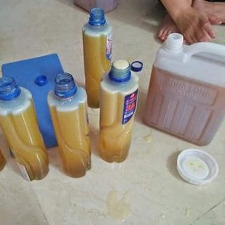 mật ong bạc Hà nguyên chất