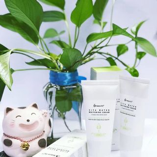 Kem vitamin làm trắng da hãng Nature SC