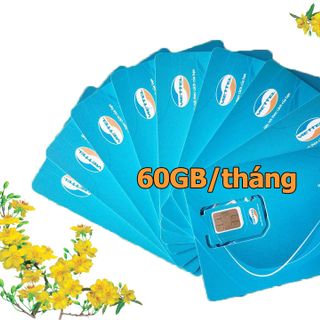 Sim V90 Viettel