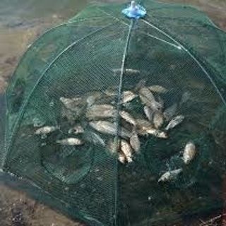 Lưới đánh cá bát quái