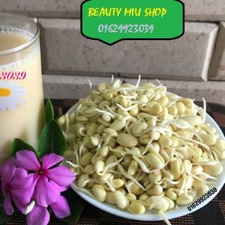 mầm đậu nành nguyên chất 100 đậu lên mầm rồi đem đãi rang xay