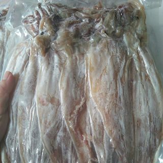 Khô mực cỡ trung DFOOD