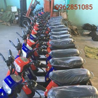 xe đạp điện