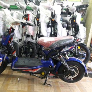 xe đạp điện