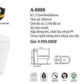 Bàn cầu liền khối A-8008