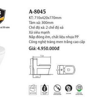 Bàn Cầu liền khối A-8045