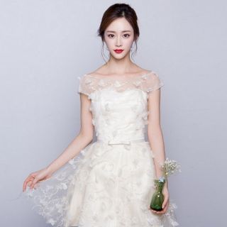 ĐẦM REN GIỐNG Y HÌNH