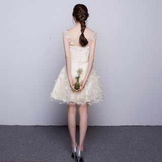 ĐẦM REN GIỐNG Y HÌNH