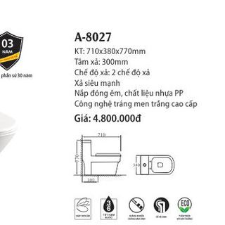 Bàn Cầu liền khối A-8027