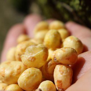 Bắp non sấy bơ - Thảo Đà Lạt