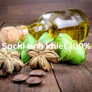 Sachi