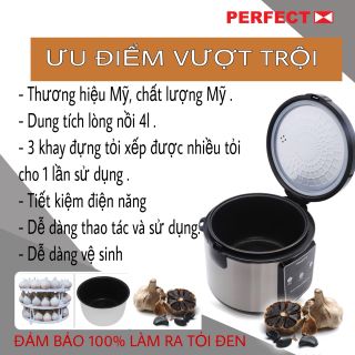 NỒI LÀM TỎI ĐEN CHUYÊN DỤNG PF-BG168
