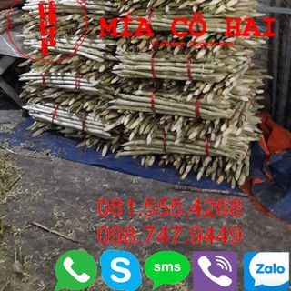 Mía Ép Nước Cần Thơ