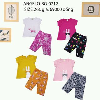 chuyên bỏ sĩ quần áo thời trang trẻ em baby Angelokidz và Beekidz