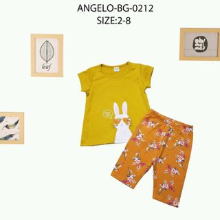 chuyên bỏ sĩ quần áo thời trang trẻ em baby Angelokidz và Beekidz