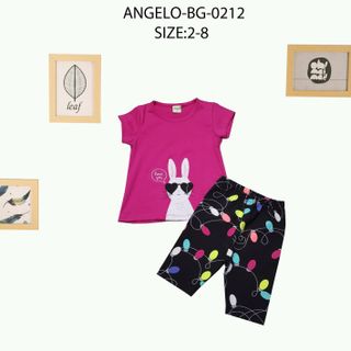 chuyên bỏ sĩ quần áo thời trang trẻ em baby Angelokidz và Beekidz