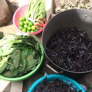 DẦU GỘI THẢO MỘC CÔ ĐẶC BỒ KẾT BƯỞI