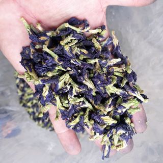 Trà hoa đậu biếc