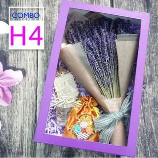 Bán sỉ hoa oải hương khô từ Pháp