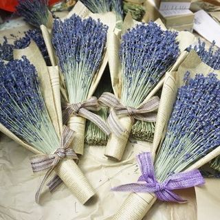 Bán sỉ hoa oải hương khô từ Pháp