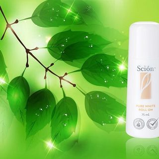 Lăn đặc trị Scion
