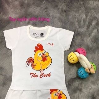 Quần Áo Bé Trai 8kg - 10kg - 2TNVT