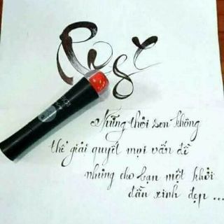 son roses đỏ tươi