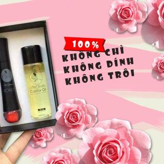 son roses đỏ tươi